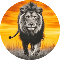 Arise Divine Masculine Logo